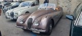 British Car Meeting - Saint-Prex 2026