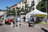 Ascona Classic Car Award 2026