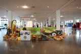 Klassikwelt Bodensee 2026