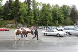 Alt Opel IG Jahrestreffen in Wildhaus