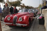 Swiss Classic British Car Meeting Morges