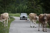 Arlberg Classic Car Rallye