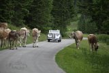 Arlberg Classic Car Rallye