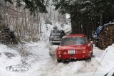 Schneegest&ouml;ber Rallye