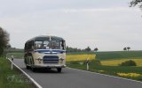 Europäisches Oldtimer-Bus Treffen Sinsheim