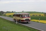Europäisches Oldtimer-Bus Treffen Sinsheim