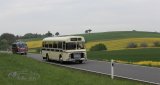 Europäisches Oldtimer-Bus Treffen Sinsheim