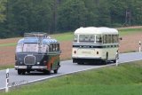 Europäisches Oldtimer-Bus Treffen Sinsheim