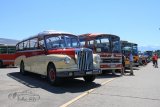 Bus- & LKW-Treffen Hinwil