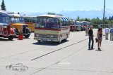 Bus- & LKW-Treffen Hinwil