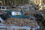 Autofriedhof G&uuml;rbetal