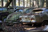 Autofriedhof Gürbetal