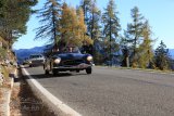 RAID Autumn Drive