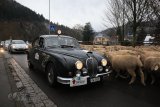 Schwarzwald Winter-Challenge