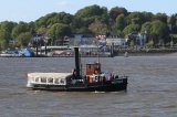 Hafengeburtstag Hamburg 2019, Museumsdampfschiffe