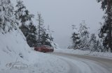 Rallye Monte-Carlo Historique