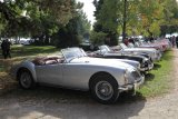 Swiss Classic British Car Meeting Morges