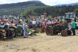 Int. Landmaschinen Oldtimer-Treffen Effingen