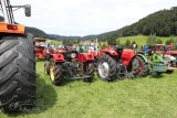 Traktorentreffen Bichelsee