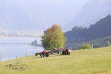 Traktoren-Oldtimer-Treffen in Gross am Sihlsee 2023