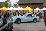 Rotary Classic - Affoltern am Albis 2024